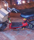 Bán xe đạp điện bò điên