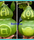 Hình ảnh: Bưởi Hồ Lô Tài Lộc, Bưởi hồ lô chưng tết, Bưởi hồ lô khắc chữ tài lộc đẹp, bưởi hồ lô giá siêu rẻ