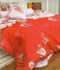 Hình ảnh: Chăn TB_S cao cấp Thanh Bình 2m