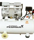 Hình ảnh: Máy nén khí không dầu Pegasus hàng chính hãng, giá rẻ nhất tại Miền Bắc