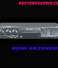 Hình ảnh: Đầu Karaoke Chào Món Xuân 2015, Đầu Sk 39HDMI Hàng Tốt Giá Cực Tốt