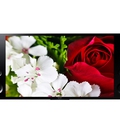 Hình ảnh: Phân phối TV Sony 3d, 4K 55X9000, 65X9000, Smart TV, 800 hz chính hãng giá tốt nhất