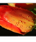 Hình ảnh: TV led LG 47LB631T, 47 inch, Smart TV, CMR 500 hz mới về hàng giá tốt nhất.