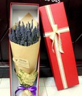 Hình ảnh: Hộp quà hoa khô lavendin