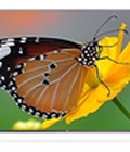 Hình ảnh: Giá bán TV LG 55LB631T, 55 inch, Internet TV, CMR 500 hz chính hãng