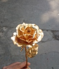 Hình ảnh: Hoa hồng mạ vàng 24K tặng người yêu ngày Valentine