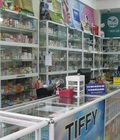 Hình ảnh: Cho thuê cửa hàng mặt phố Thái Thịnh, Đống Đa diện tích 42 m2