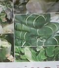 Hình ảnh: Nhận đặt bánh chưng tết 2015