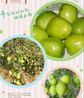 Hình ảnh: TÁO ta, Ngọt,to, Hái tại vườn Giá cực yêu :X