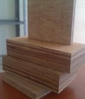 Hình ảnh: Ván gỗ chống ẩm plywood 50mm