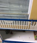 Hình ảnh: Bán nhà phố Ngũ Nhạc, Hoàng Mai, Hà Nội, 1.9 tỷ có thương lượng