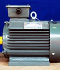 Hình ảnh: Motor điện teco việt nam