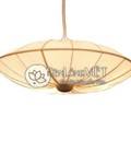 Hình ảnh: Đèn trang trí nhà hàng cao cấp DT-VL011