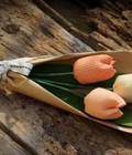Hình ảnh: Hoa tulip vải 