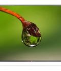 Hình ảnh: LG 50LB 561T, 50 , Full HD