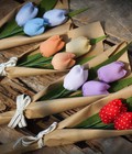 Hình ảnh:  Hoa Tulip bằng vải