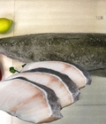 Hình ảnh: Cá tuyết canada, cá tuyết đen, cá tuyết nướng, black cod