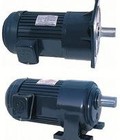 Hình ảnh: Động cơ motor 1 pha, 3 pha, hộp giảm tốc Dolin Đài Loan