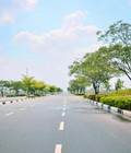 Hình ảnh: Cần mua đất Mỹ Phước 3, Bến Cát, Bình Dương