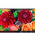 Hình ảnh: Phân phối Tivi LED Panasonic TH 65AX800V