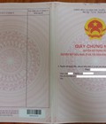 Hình ảnh: Bán 500m đất dự án sân bay Long Thành