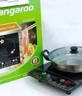 Hình ảnh: Bếp từ kangaroo (tặng kèm nồi lẩu)