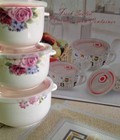 Hình ảnh: Bộ 3 bát hút chân không(có tai)