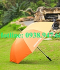 Hình ảnh: Ô Dù Cầm Tay I Xưởng Sản Xuất Ô Dù Cầm Tay I Ô Dù Cầm Tay Có In Logo I Tại Hà Nội