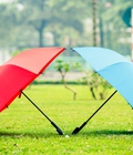 Hình ảnh: Xưởng Sản Xuất Ô Dù Cầm Tay, Ô Dù Quảng Cáo, Ô có in Logo Công Ty Giá Rẻ, Chất Lượng Cao, Thời Gian Cung Cấp Nhanh