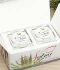 Hình ảnh: Trị Nám Tàn Nhang hiệu quả