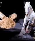 Hình ảnh: Viên Uống Nhau Thai Ngựa Đua Nhật Bản Giải Pháp Cho Sức Khoẻ Sắc Đẹp Của Các Ngôi Sao Thế Giới