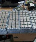 Hình ảnh: Bán chip intel,amd số luợng cực lớn,giá cực bèo