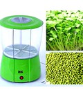 Hình ảnh: Máy làm rau mầm Magic One MG-81, máy trồng rau mầm