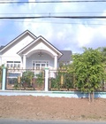 Hình ảnh: Cần Tiền Bán Đất Nhà Bè ,Gần Ngã Tư Nguyễn Văn Tạo 1000 M2 Giá 4.7 Triệu/M2