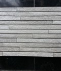 Hình ảnh: Gạch men ốp tường 30x60 - 36230