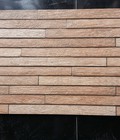 Hình ảnh: Gạch men ốp tường 30x60 ltp - 362304
