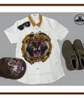Hình ảnh: Áo sơ mi tay ngắn