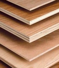 Hình ảnh: Cung cấp sỉ và lẻ ván ép polywood,ván ép chất lượng cao.