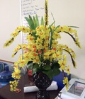 Hình ảnh: Hoa lan vàng bình đen để bàn 