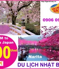 Hình ảnh: Hồ Chí Minh Đi Narita Chiba Nhật Bản Khuyến Mãi