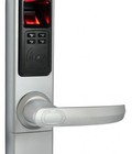 Hình ảnh: Khóa cửa bằng vân tay Adel 5500 ( 3 in 1)