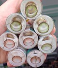Hình ảnh: Lens mắt, kính áp tròng hàn thái