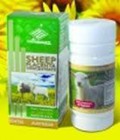 Hình ảnh: Viên nang Nhau Thai Cừu Sheep Plancenta : giúp làm đẹp, chống lão hóa .