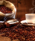 Hình ảnh: Đại lý phân phối ,cung cấp cà phê buôn ma thuột tại hà nội