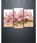 Hình ảnh: Tranh bộ trang trí Spa DH787A (kích thước 90x65cm) 