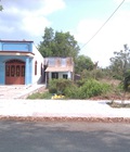Hình ảnh: Hãy Sỡ Hữu Ngay 351 M2 Đất Đường Nguyễn Văn Tạo, Nhà Bè, Liền Kề Phú Mỹ Hưng