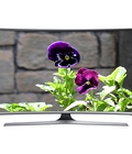 Hình ảnh: Phân phối Tivi samsung màn hình cong : 32J6300, 40J6300,48J6300,55J6300 được ưa chuộng nhất hiện nay.