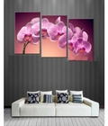 Hình ảnh: tranh bộ treo tường hoa lan dh797a (kích thước 120x65cm) 