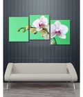 Hình ảnh: Tranh treo tường hoa Lan nghệ thuật DH807A (kích thước 120x5