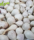 Hình ảnh: Tỏi cô đơn Lý Sơn chính gốc tại Hà Nội